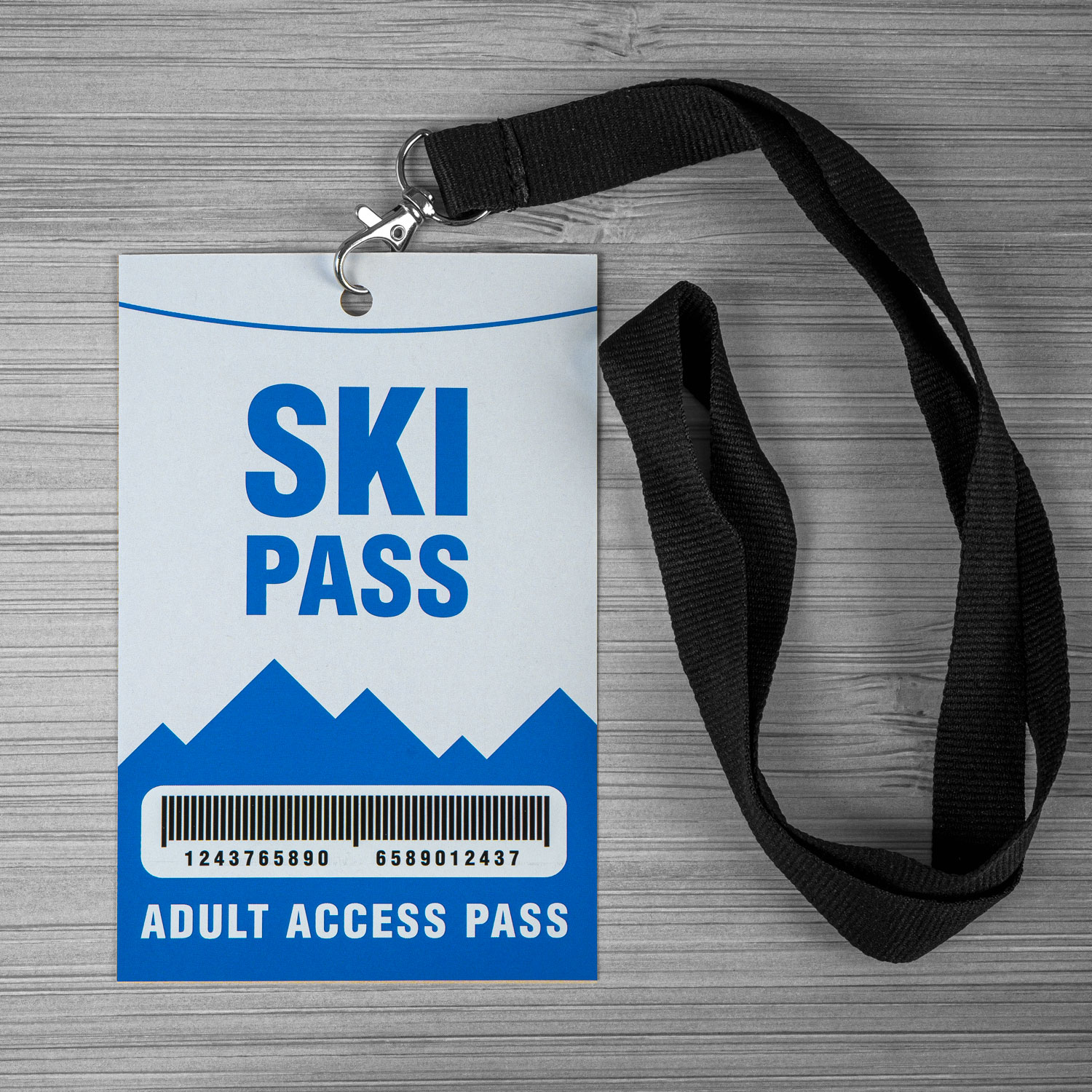 Laminated Lanyard Passes