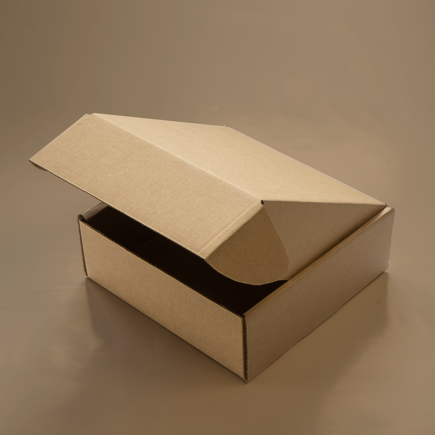 Kraft Tab Locking Literature Mailers