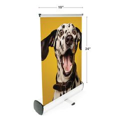 mini-retractable-0296